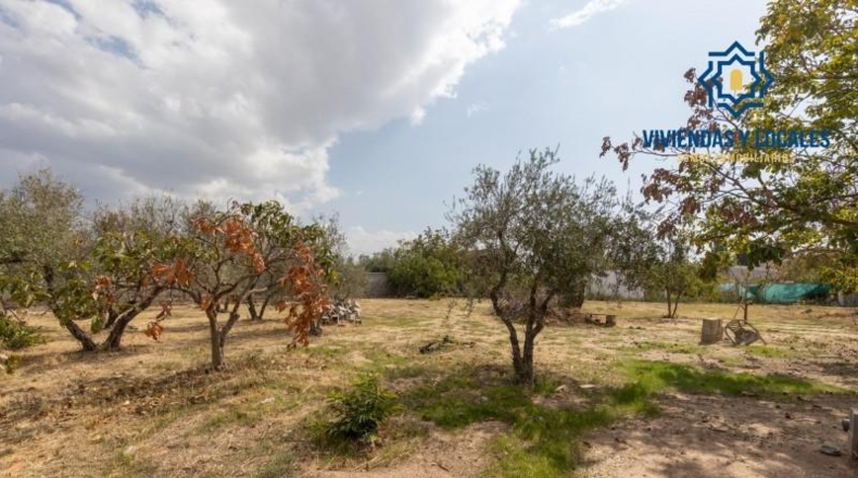 Granada - Peligros - 1690m2