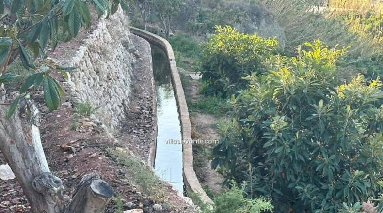 Alicante - Callosa de Ensarriá - 9302m2