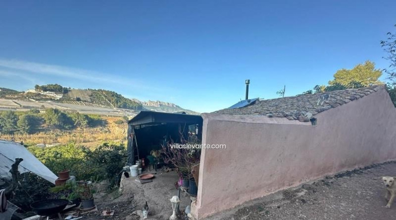 Alicante - Callosa de Ensarriá - 9302m2