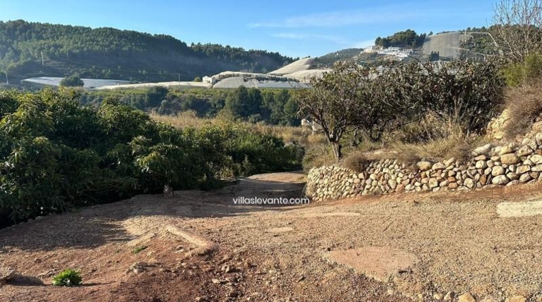 Alicante - Callosa de Ensarriá - 9302m2