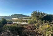 Casa de camp amb terreny en venda a la España, Callosa d'en Sarrià, ref.: TR158687 foto