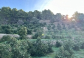 Casa de camp amb terreny en venda a la España, Callosa d'en Sarrià, ref.: TR158687 foto