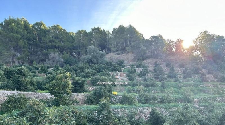 Alicante - Callosa de Ensarriá - 9302m2