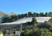 Casa de camp amb terreny en venda a la España, Callosa d'en Sarrià, ref.: TR158687 foto