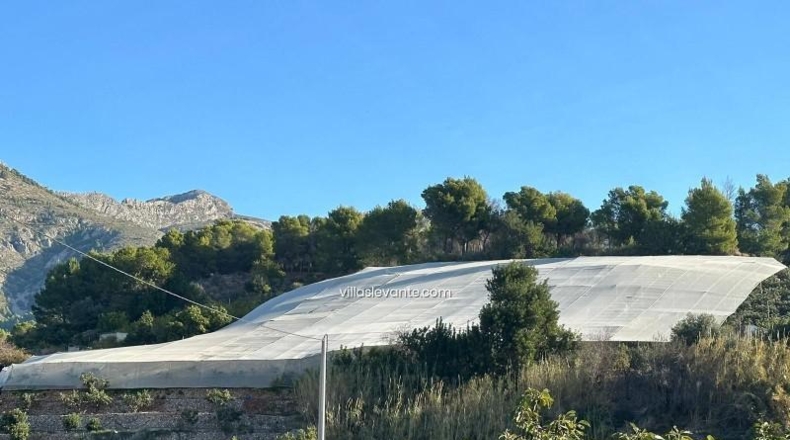 Alicante - Callosa de Ensarriá - 9302m2