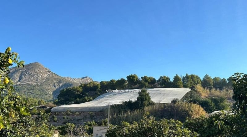 Alicante - Callosa de Ensarriá - 9302m2