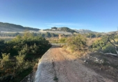 Casa de camp amb terreny en venda a la España, Callosa d'en Sarrià, ref.: TR158687 foto