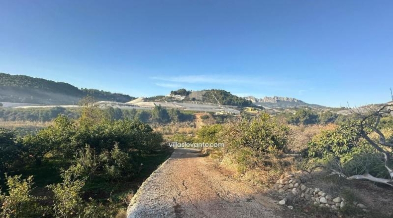 Alicante - Callosa de Ensarriá - 9302m2