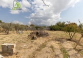Casa de campo con terreno en venta en la España, Peligros, ref: TR377145 foto