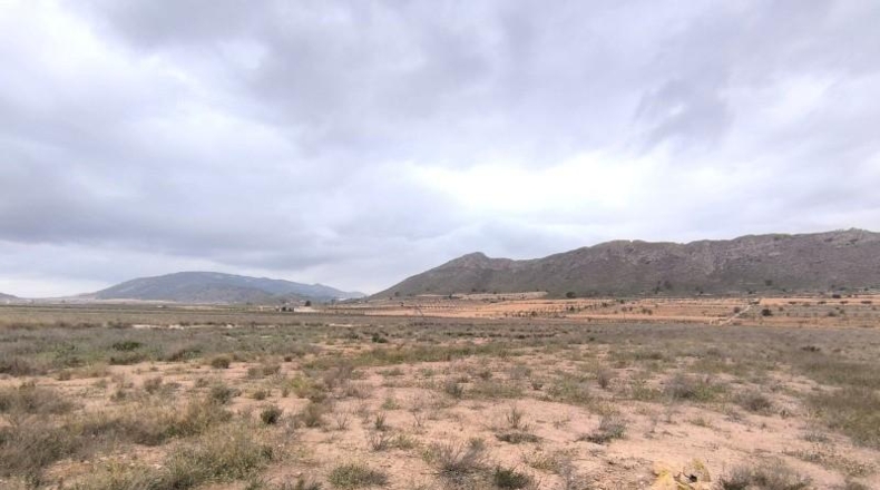 Murcia - Favanella - 22448m2