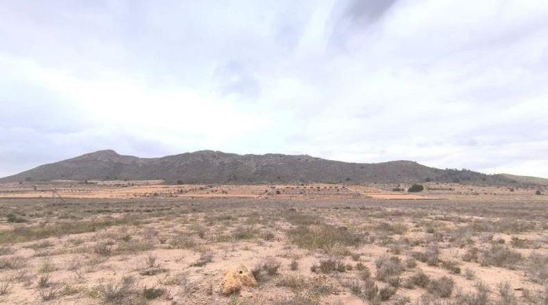 Murcia - Favanella - 22448m2
