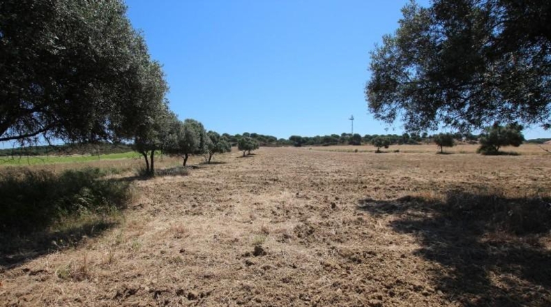 Huelva - Aljaraque - 15000m2