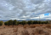Casa de camp amb terreny en venda a la España, Gérgal, ref.: TR236950 foto