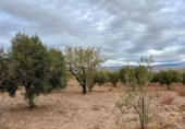 Casa de camp amb terreny en venda a la España, Gérgal, ref.: TR236950 foto