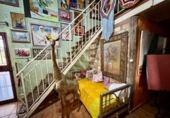 Casa de camp amb terreny en venda a la España, Gérgal, ref.: TR236950 foto