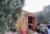 Casa de camp amb terreny en venda a la España, Gérgal, ref.: TR236950 foto
