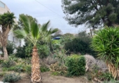 Non-developable land for sale on España, Nerja, ref: TR127813 photo