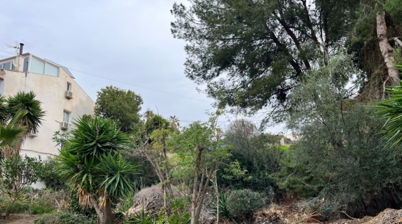 Málaga - Nerja - 440m2
