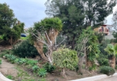 Non-developable land for sale on España, Nerja, ref: TR127813 photo