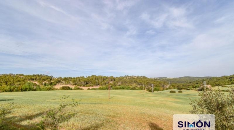 Barcelona - Veciana - 42000m2