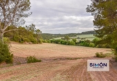 Country house with land for sale on España, Copons, ref: TR165324 photo