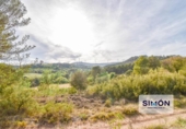 Country house with land for sale on España, Copons, ref: TR165324 photo