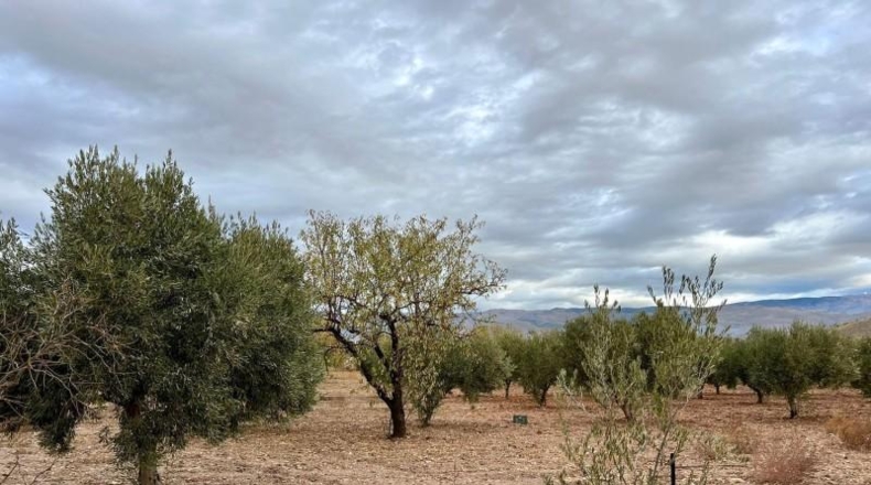 Almeria - Gérgal - 10334m2