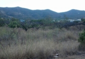 Non-developable land for sale on España, Gandia, ref: TR334936 photo