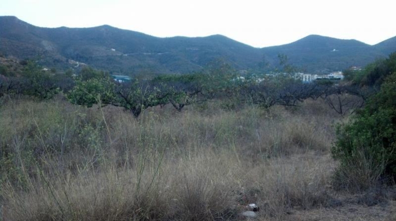 Valencia - Gandía - 67500m2