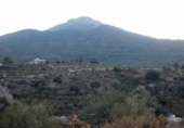 Non-developable land for sale on España, Gandia, ref: TR334936 photo