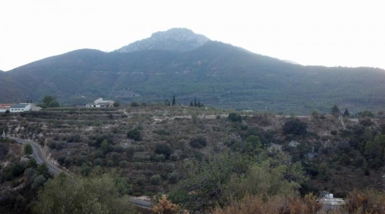 Valencia - Gandía - 67500m2