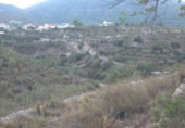 Non-developable land for sale on España, Gandia, ref: TR334936 photo