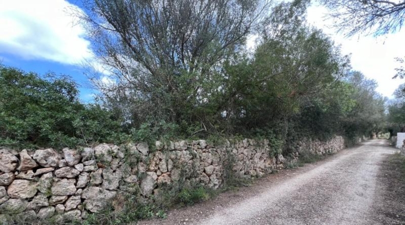 Balearic Islands - Sencelles - 15000m2