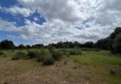 Parcela urbanizable en venta en la España, Sencelles, ref: TR321535 foto