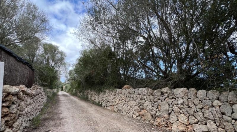 Balearic Islands - Sencelles - 15000m2