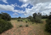 Parcela urbanizable en venta en la España, Sencelles, ref: TR321535 foto