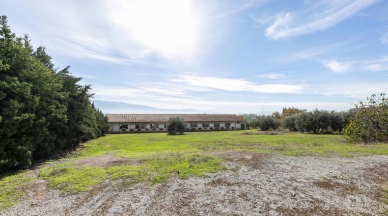 Granada - Atarfe - 6800m2