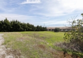 Non-developable land for sale on España, Atarfe, ref: TR323016 photo