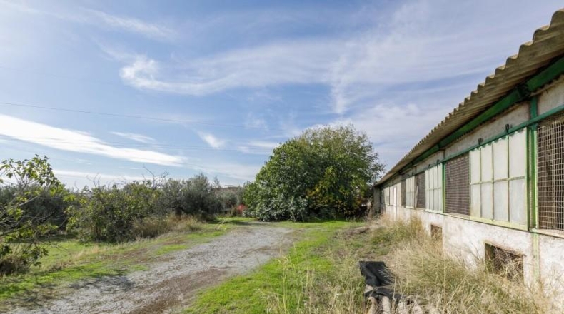 Granada - Atarfe - 6800m2