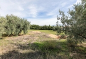 Non-developable land for sale on España, Atarfe, ref: TR323016 photo