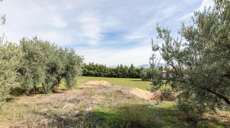 Granada - Atarfe - 6800m2
