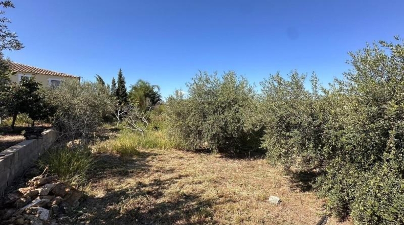 Valencia - Alfarp - 137m2