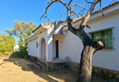 Xalet independent amb terreny en venda a la España, Guillena, ref.: TR343643 foto