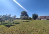 Terreny no urbanitzable en venda a la España, Chipiona, ref.: TR329524 foto