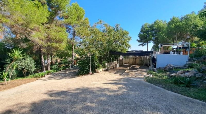 València - Alberique - 2430m2