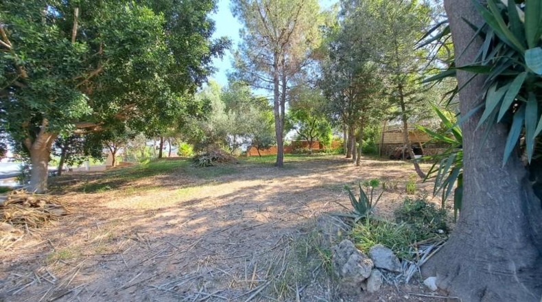 València - Alberique - 2430m2