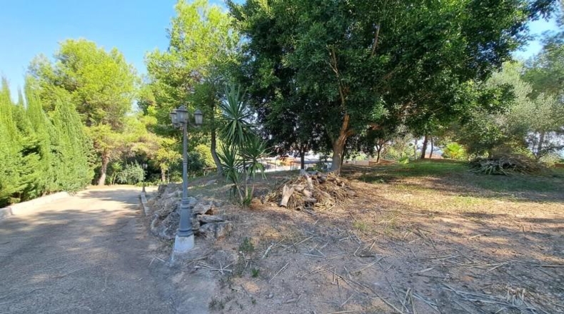 València - Alberique - 2430m2