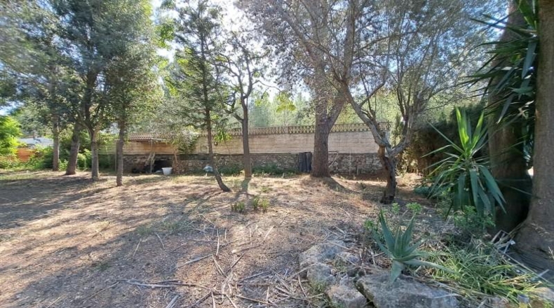 València - Alberique - 2430m2