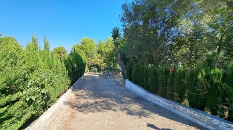 València - Alberique - 2430m2