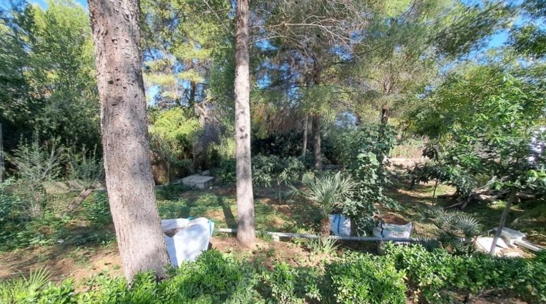 València - Alberique - 2430m2